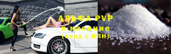 трава Аркадак