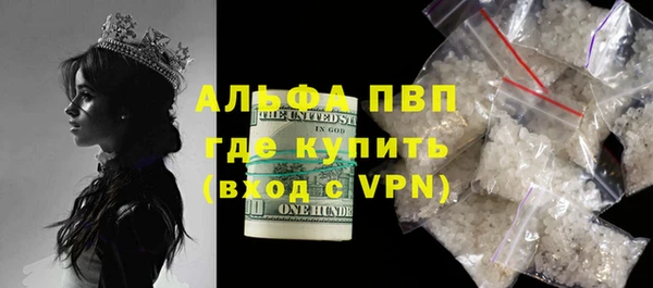 трава Аркадак