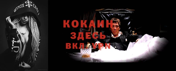 трава Аркадак